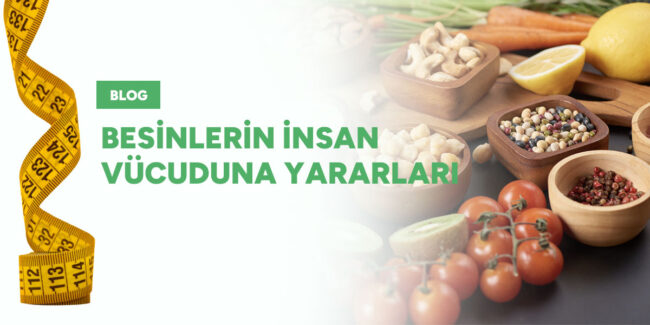 besinlerin-insan-vucuduna-faydalari-gorsel Besinlerin insan vücuduna yararları
