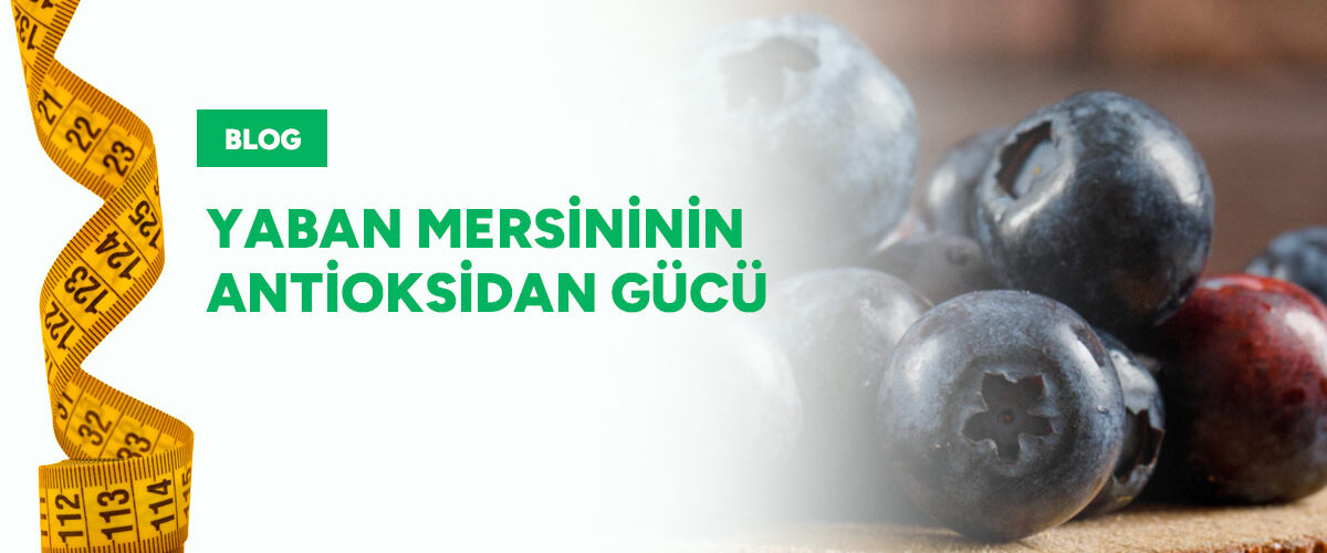yaban-mersinini-antioksidan-gucu-gorsel