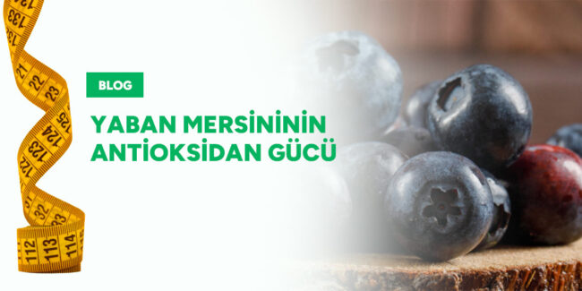 yaban-mersinini-antioksidan-gucu-gorsel