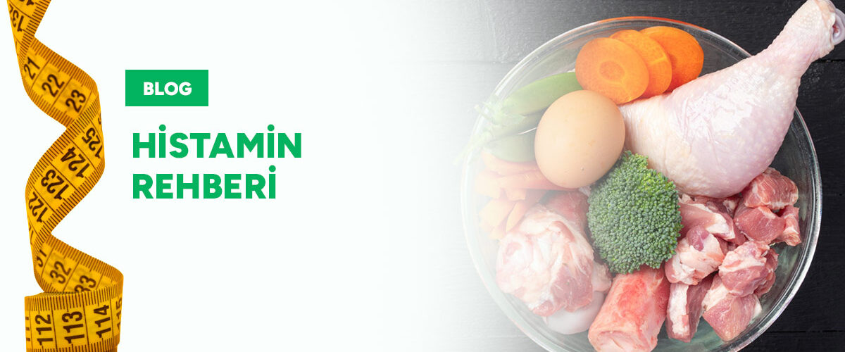 histamin-rehberi-gorsel