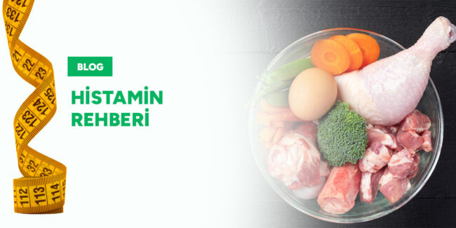 histamin-rehberi-gorsel